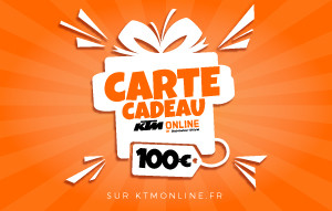 
			                        			CARTE CADEAU 100